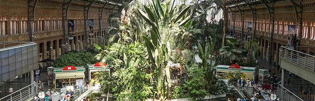Madrid Atochastation Madrid Atocha station